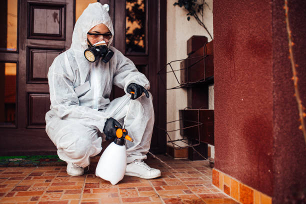 Reliable Cockroach Control contractor in Julian, CA by Nex Pest Control